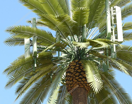 Telecommunication Bionic Tree Tower