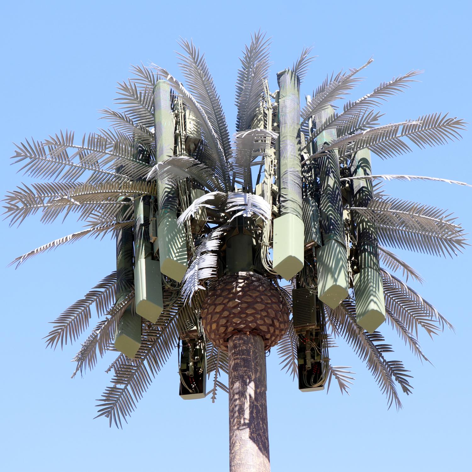 23M 30M 35M 38M Camouflage Coconut Tree Communication Tower for Landscape Telecom Infrastructure 23M 30M 35M 38M Camouflage Coconut Tree Communication Tower for Landscape Telecom Infrastructure