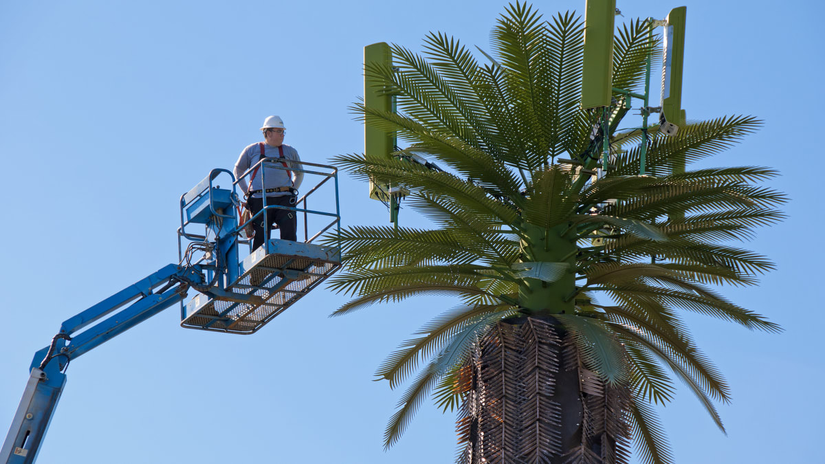 23M 30M 35M 38M Camouflage Coconut Tree Communication Tower for Landscape Telecom Infrastructure 23M 30M 35M 38M Camouflage Coconut Tree Communication Tower for Landscape Telecom Infrastructure
