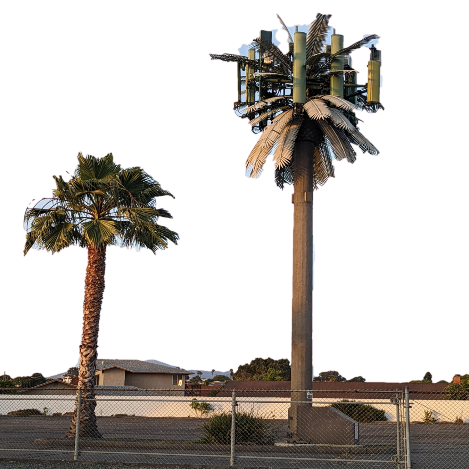 Bionic Tree Tower Self Supporting Structure For Telecommunication Network And City Landscape Design