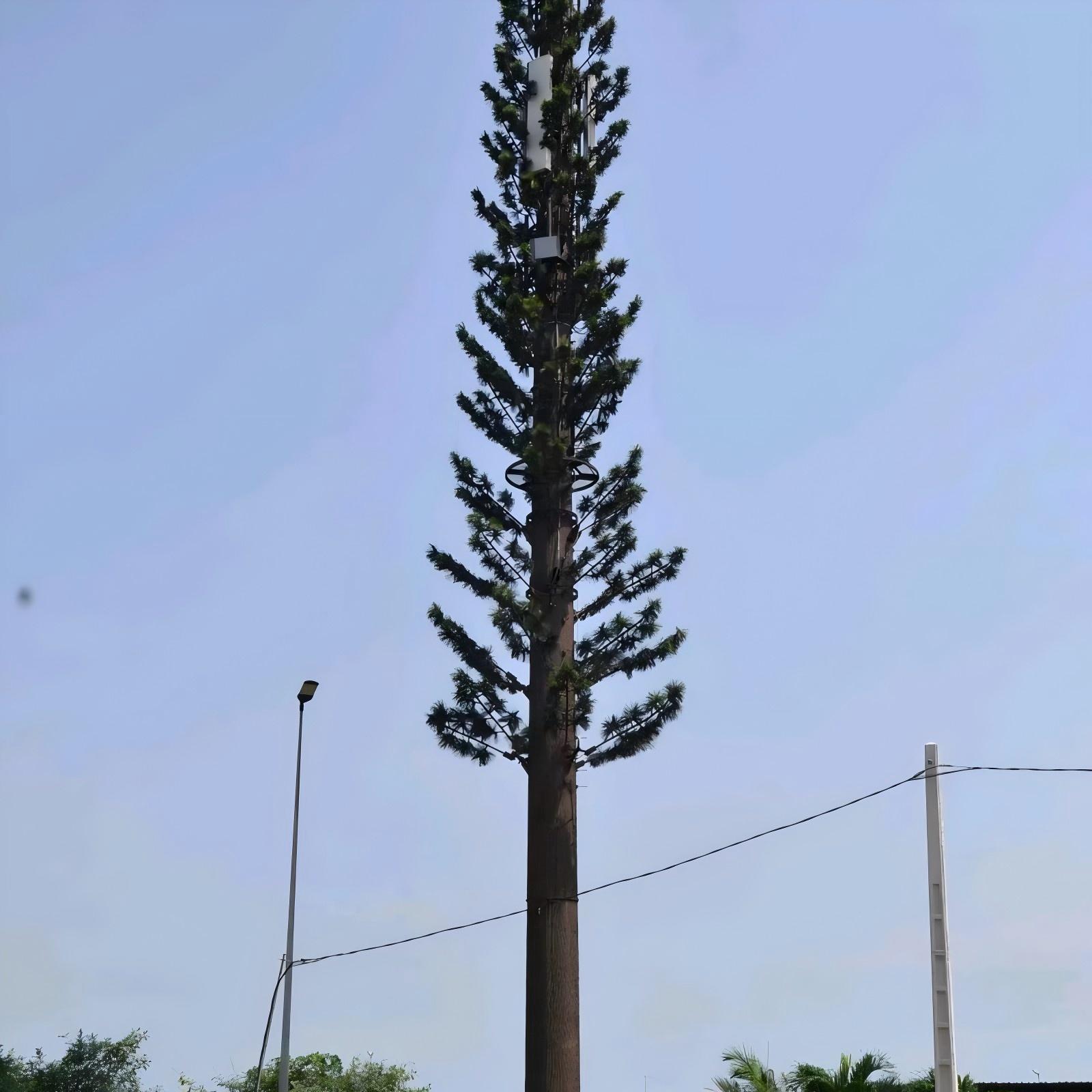 Camouflaged Bionic Palm Tree Tower For Aesthetic Telecommunication Deployment