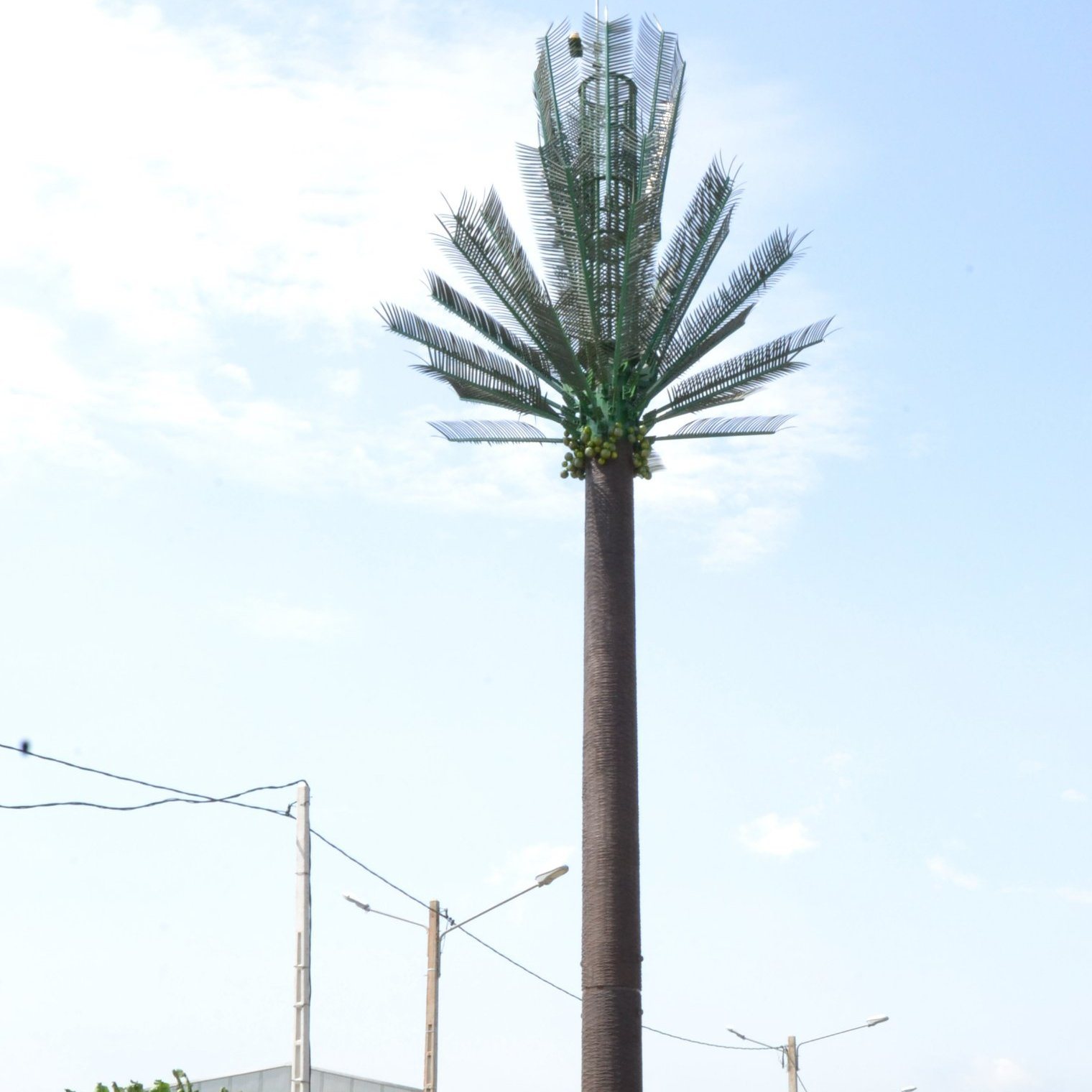  Camouflage Telecommunication Tower For Urban And Environmental Sensitive Areas 