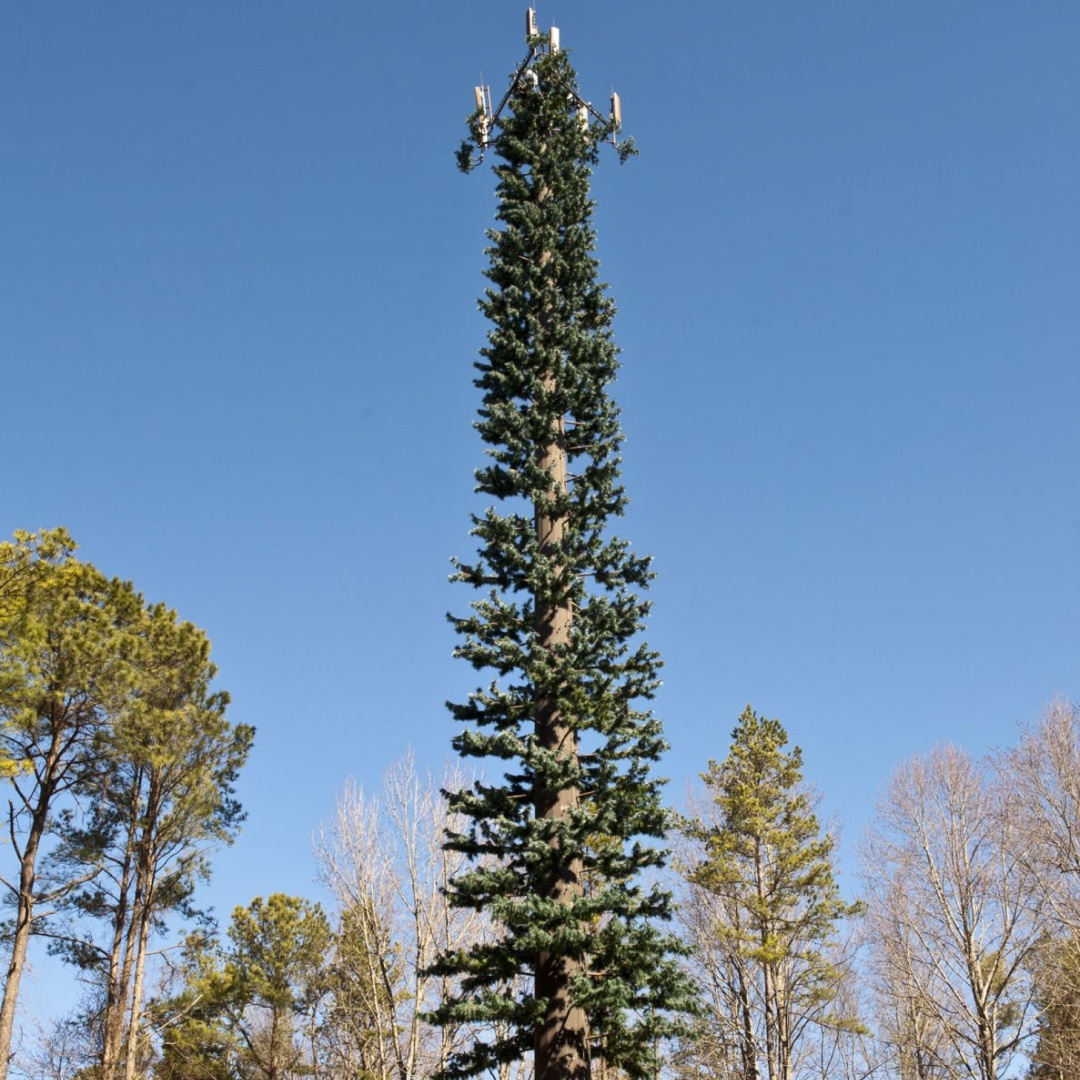 Outdoor Bionic Cypress Tree GSM Telecom Tower