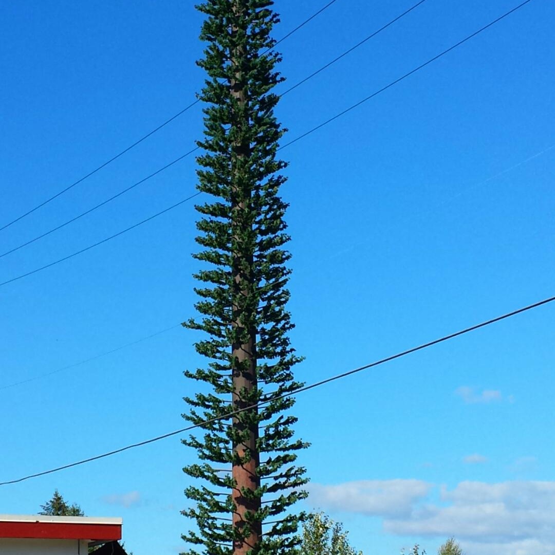 Customized Bionic Tree Camouflaged 4G Signal Tower 