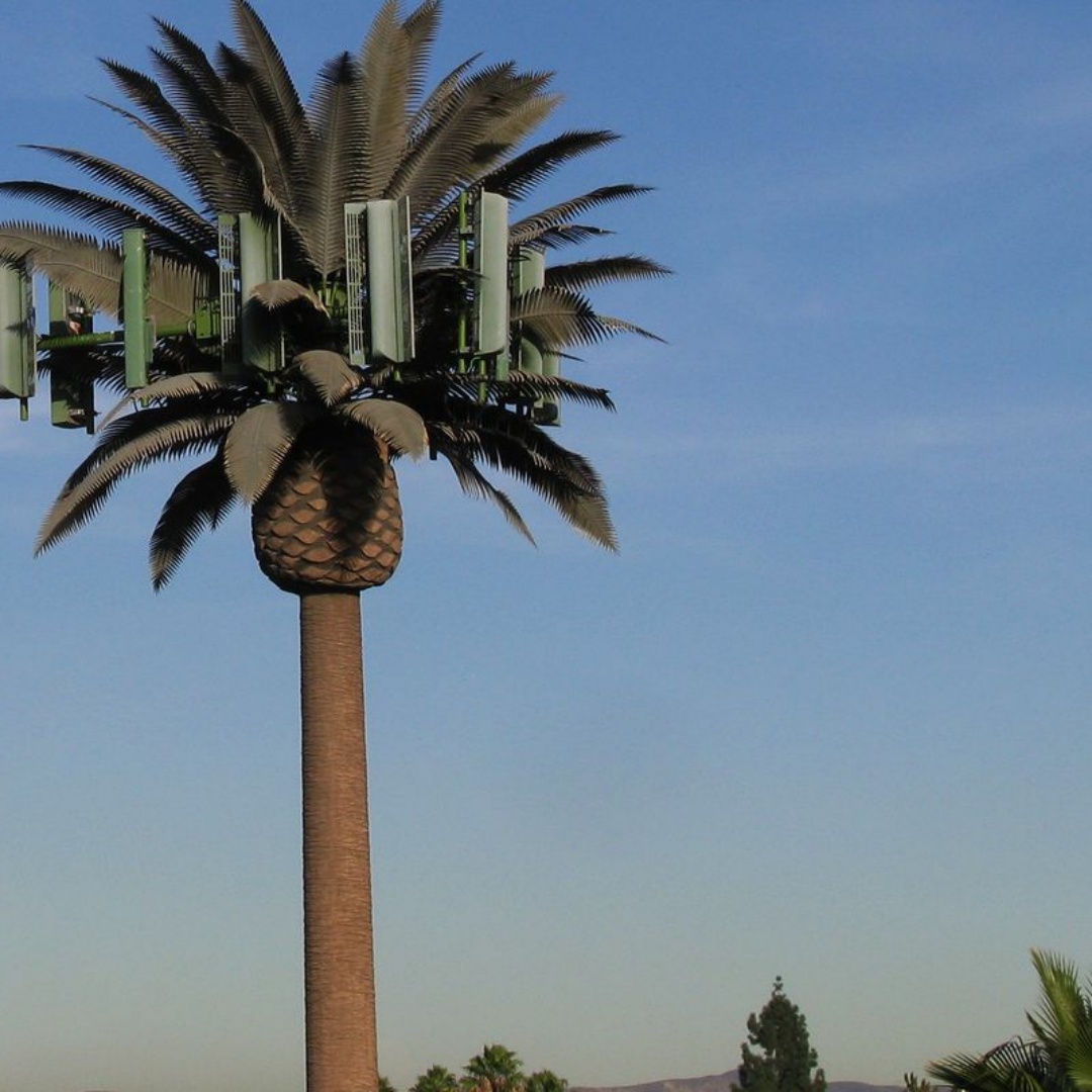 Camouflaged Bionic Palm Tree 5G Telecom Tower
