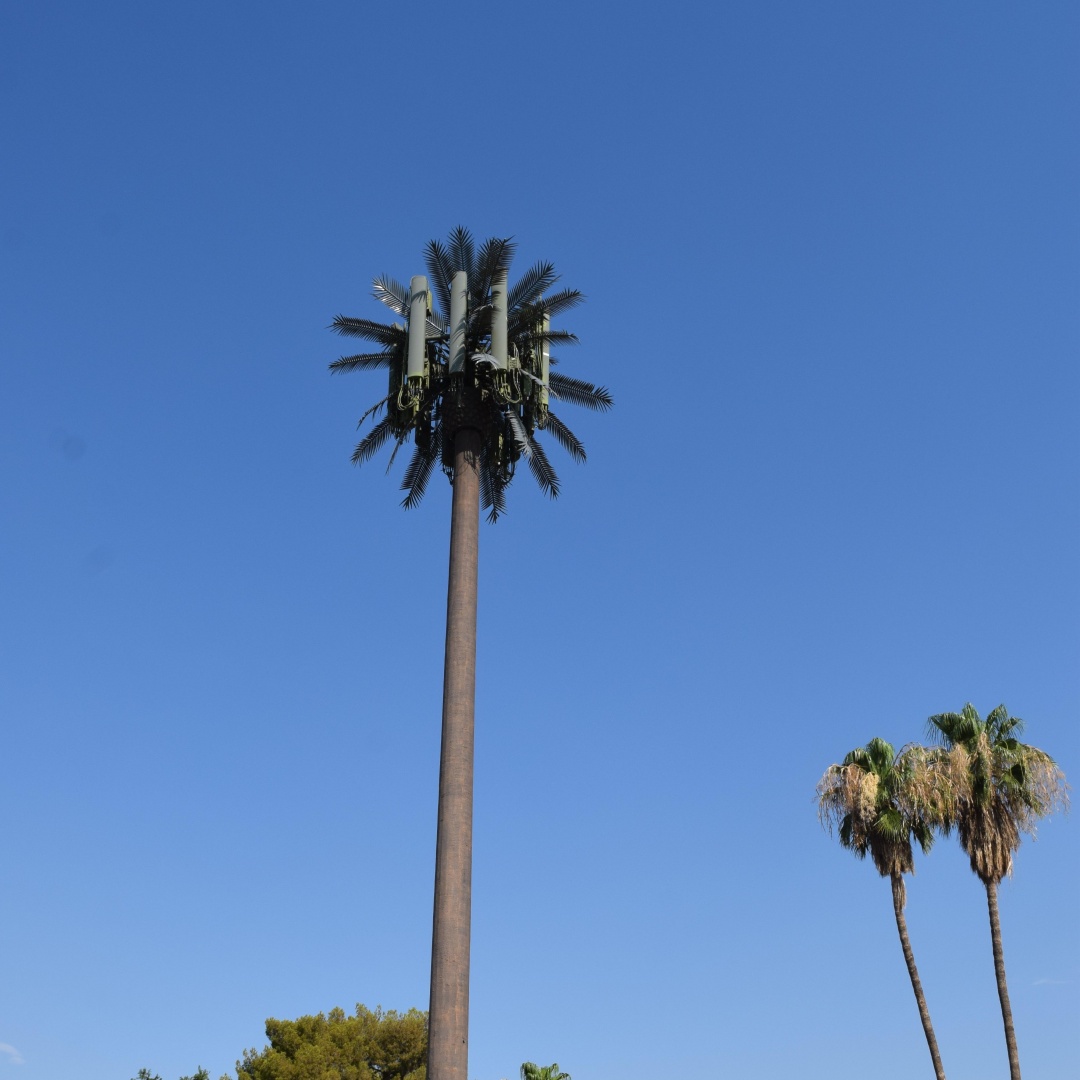 Urban Municipal Road Bionic Camphor Tree Camouflaged 5G Telecom Tower