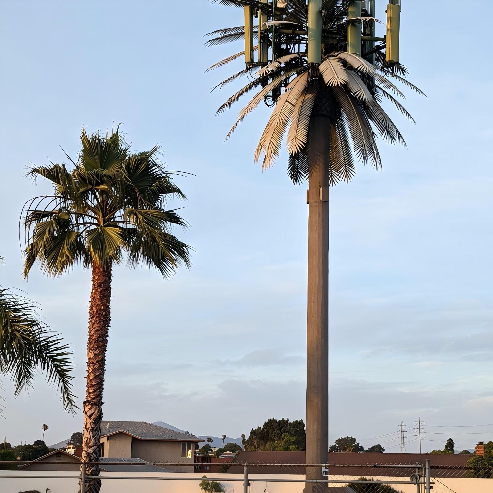 Coastal Resort Bionic Coconut Tree Anti-Corrosion Camouflaged Telecom Tower