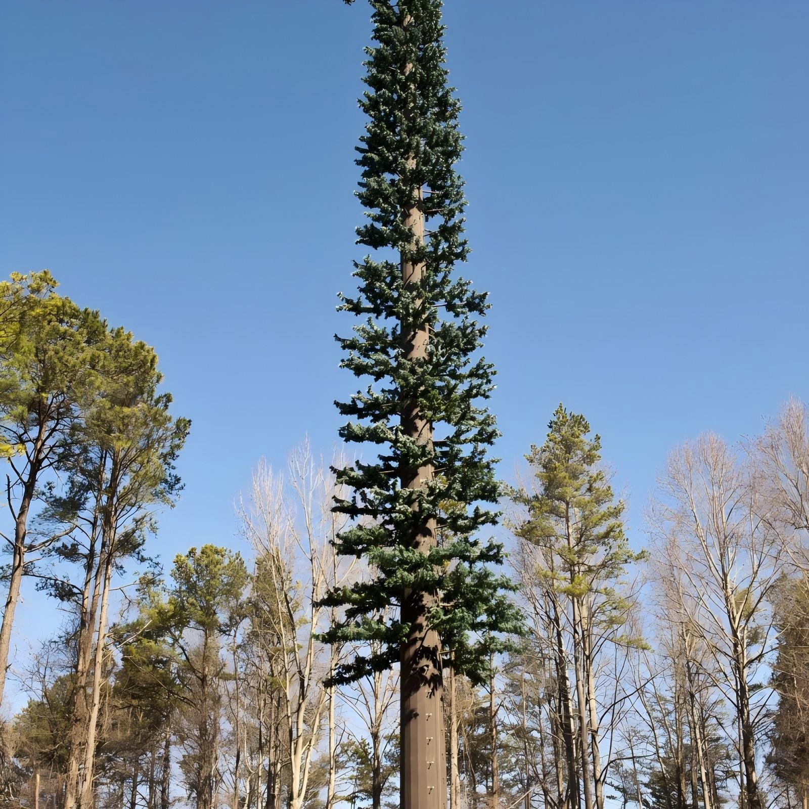 Camouflaged Pine Tree Bionic 5G Telecom Antenna Tower Manufacturer