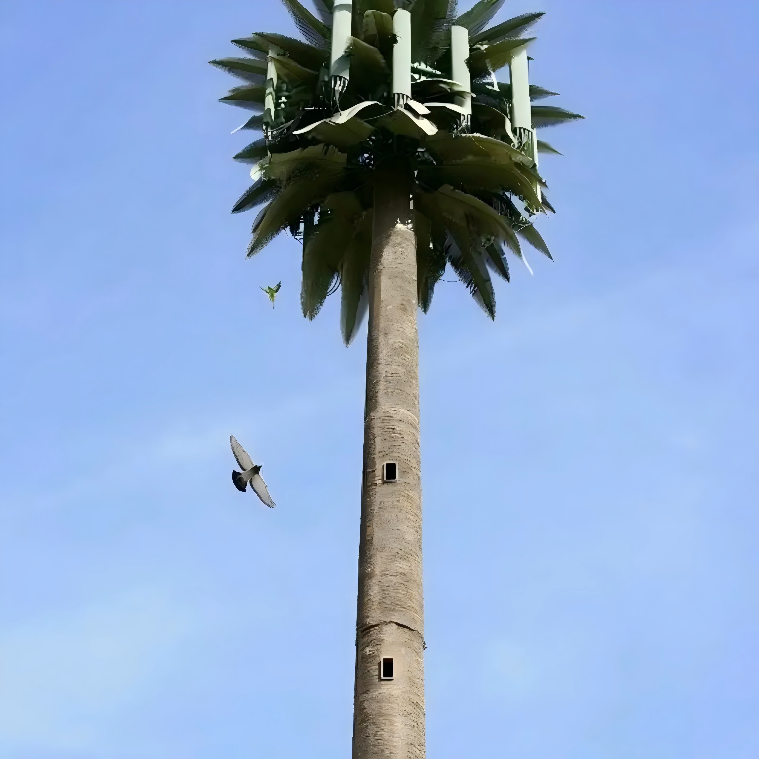 Artificial Palm Tree Bionic 5G Telecom Antenna Tower Factory Price 