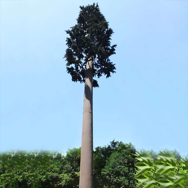 Bionic Tree Tower with integrated cable management and hidden platforms supporting telecommunications microwave and environmental monitoring equipment