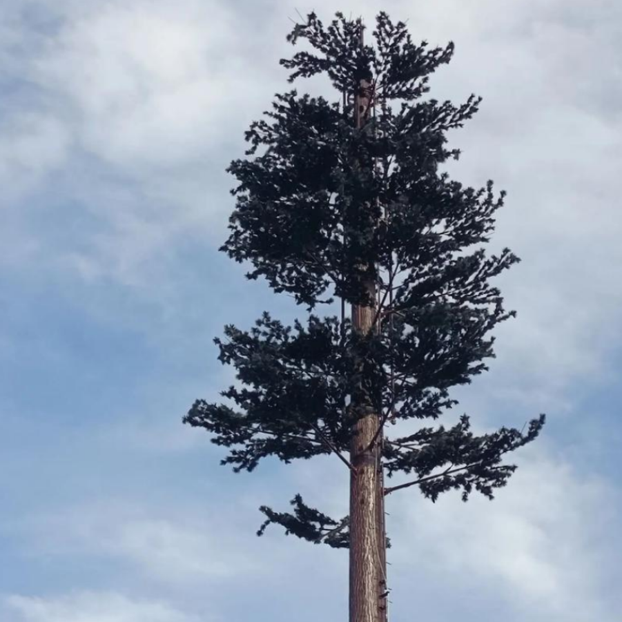 Bionic Tree Tower artificial tree structure with modular design for telecommunications and environmental sensor integration