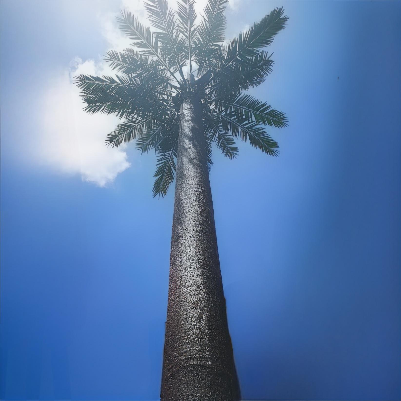 Bionic Tree Tower artificial tree tower bolts and nuts grade 4.8 6.8 8.8 meeting ISO 898 1 mechanical property standards