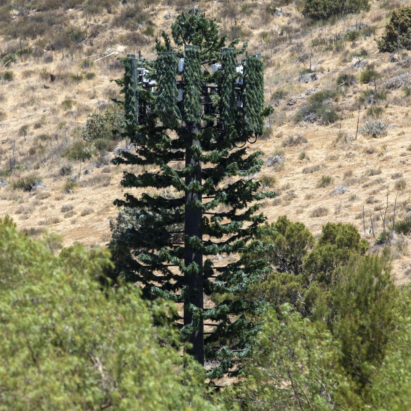 Bionic Tree Tower artificial tree tower with ANSI TIA 222 G H F and EN 1991 1 4 EN 1993 3 1 design codes for infrastructure 