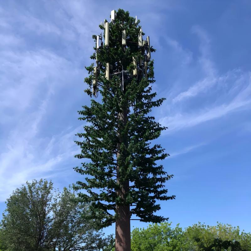 Bionic Tree Tower artificial featuring design codes ANSI TIA 222 G H F and EN 1991 1 4 for structural safety