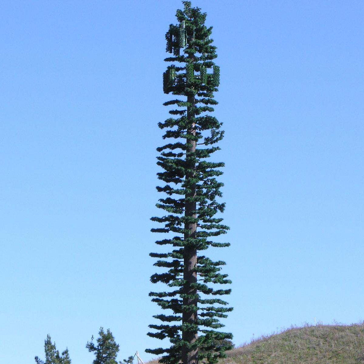 Camouflaged Palm Tree Telecom Tower For Resort Hotel Landscape
