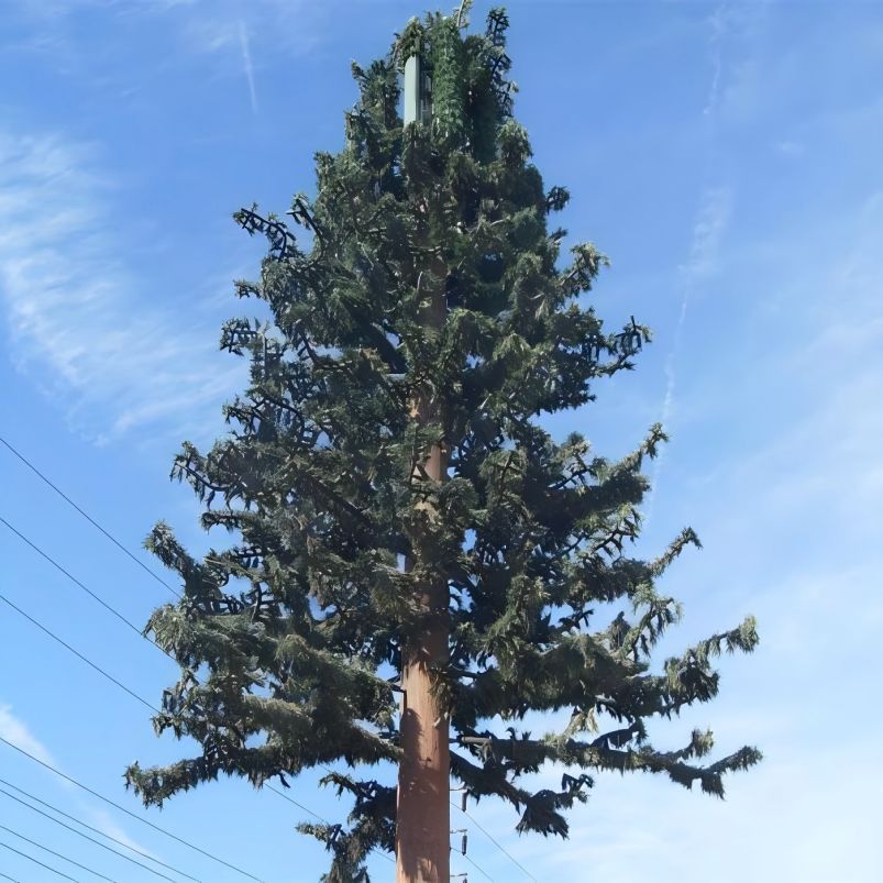 Custom Bionic Pine Tree Tower For City Park 5G Signal Coverage