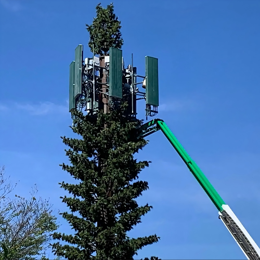 Hot Dip Galvanized Bionic Tree Telecom Tower Camouflaged For Tourist Scenic Area