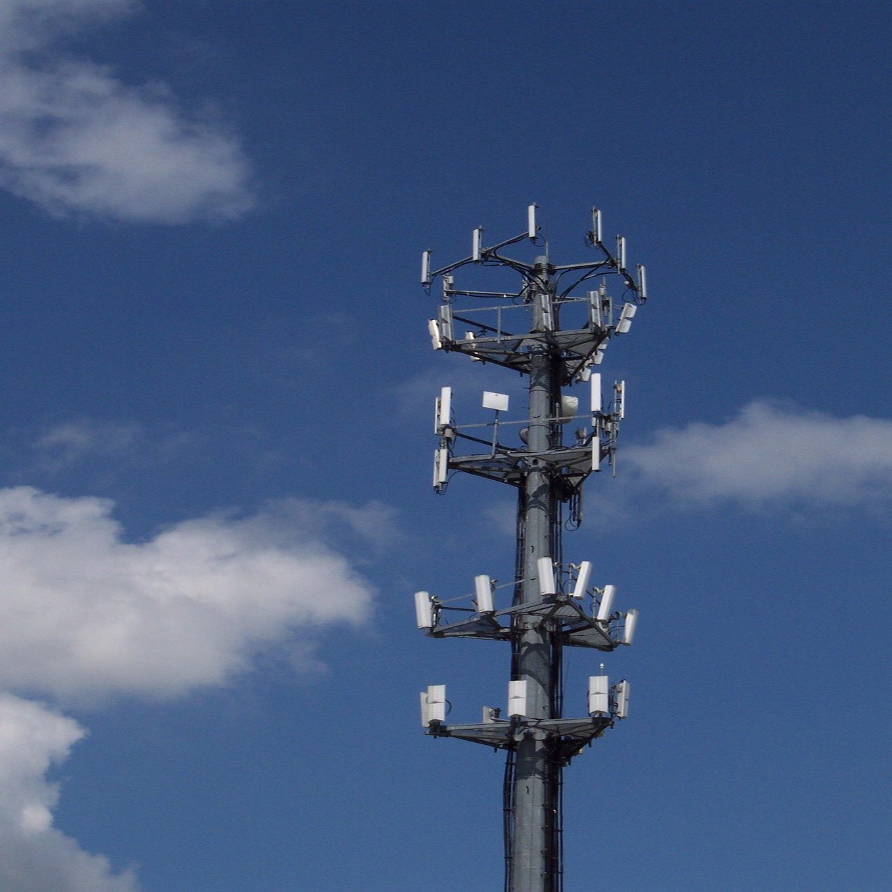 32 38 40Meter Space Saving Monopole Tower Fast Erection For Pedestrian Street 5G