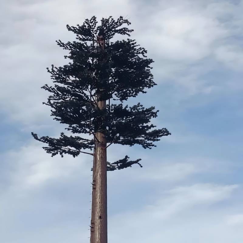 Bionic Tree Tower Galvanized Steel Monopole With Artificial Foliage For 5G Signal Coverage