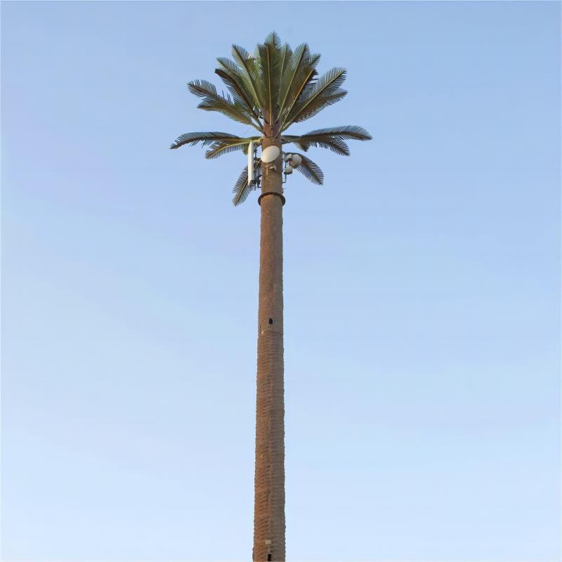 23M 30M 35M 38M Camouflage Coconut Tree Communication Tower for Landscape Telecom Infrastructure