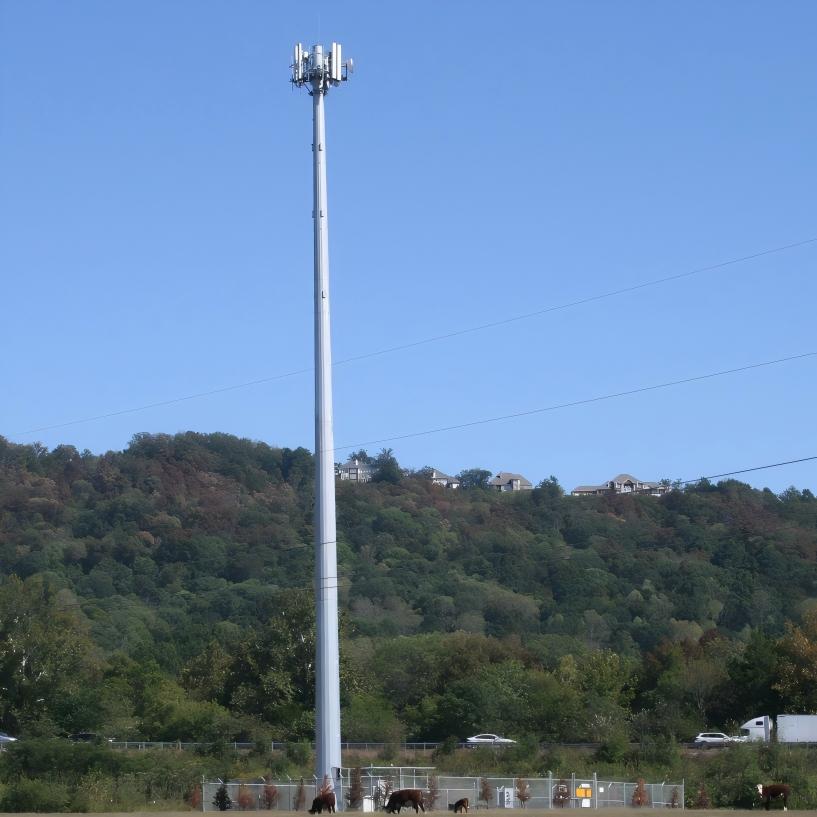 Galvanized Steel Monopole Tower for Microwave Antenna and Wireless Communication